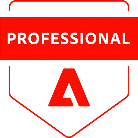 Adobe Commerce Professional